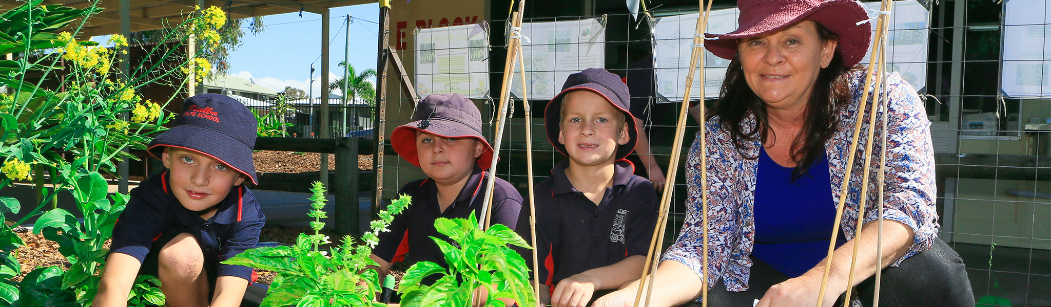 Pialba State School students gardening
